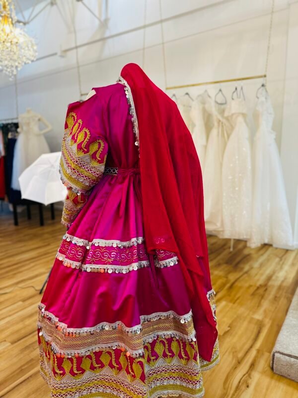 Elegant Traditional Afghan Dress - Image 3
